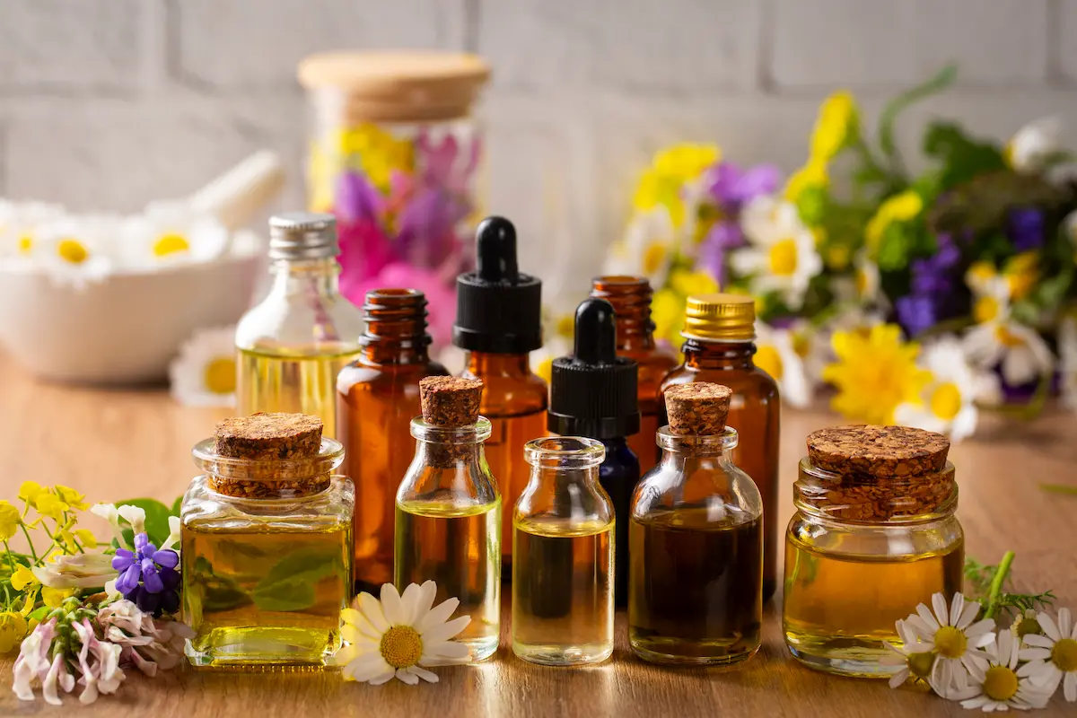 The benefits of pine and eucalyptus essential oils for winter 1 benefits of essential oils